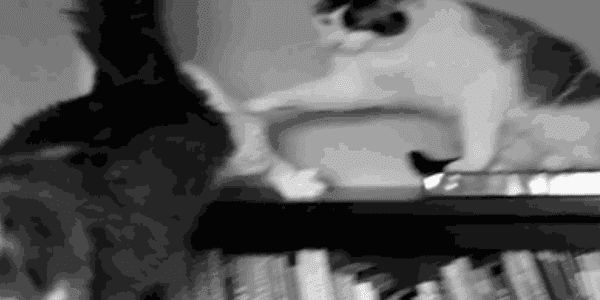 Quand je lance le stagiaire sur sa première mise en prod