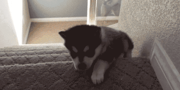 Quand je termine ma ligne de code et que je lance un debug