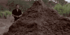 Quand j'ouvre du code legacy