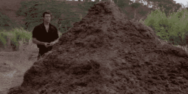 Quand j'ouvre du code legacy