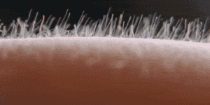 Quand mon code fonctionne du premier coup