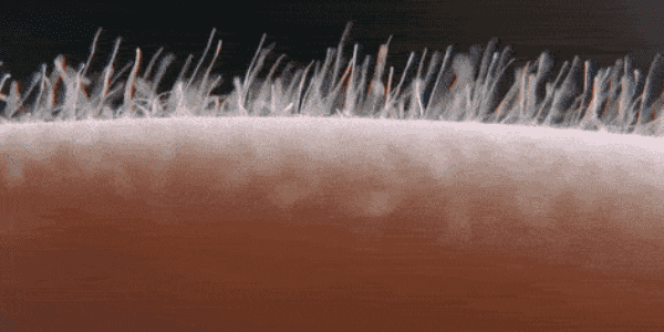 Quand mon code fonctionne du premier coup