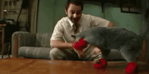 Quand je passe voir comment le stagiaire s'en sort