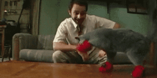 Quand je passe voir comment le stagiaire s'en sort