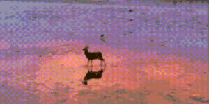 Quand le directeur adore mon side project