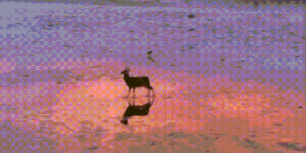 Quand le directeur adore mon side project