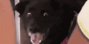 Quand j'entends le commercial et le client parler technique entre eux