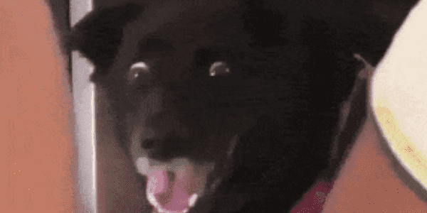 Quand j'entends le commercial et le client parler technique entre eux