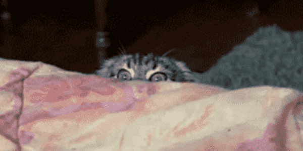 Quand le chef cherche quelqu'un pour une mise en prod un vendredi soir