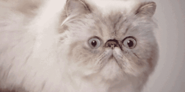 Quand un bug que je pensais avoir corrigé survient en production