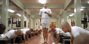 Quand je passe lead developer