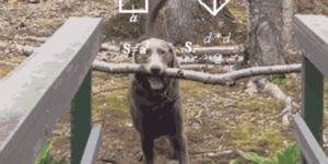 Quand je travaille sur la correction d'un bug bloquant