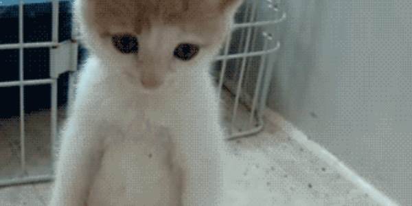 Quand je suis seul dans l'open space le 31 décembre