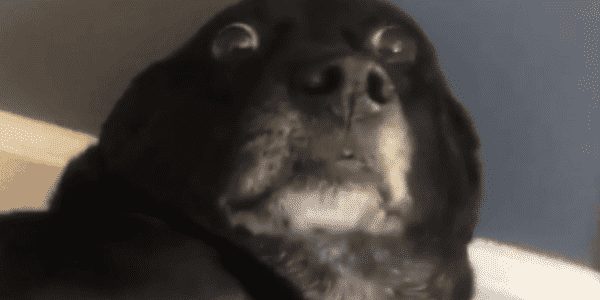 Quand tu viens de péter la prod et que t'entends tous les collègues qui commencent à s'énerver