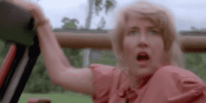 Quand on fait une démo au client après 6 mois de développement