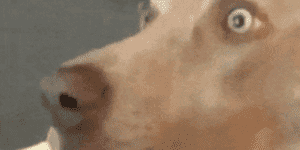 Quand je réalise que je viens de faire mon truncate sur une table en prod et non en dev