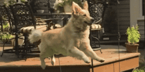 Quand mon try catch ne fonctionne pas