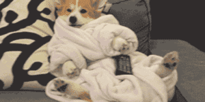 Quand je suis en arrêt maladie et que je pense à mes collègues en plein rush