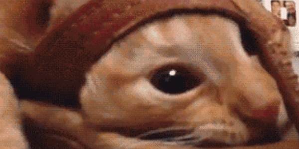 Quand j'utilise un framework sans avoir lu sa doc