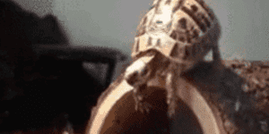 Quand j'exécute mon code pour la première fois