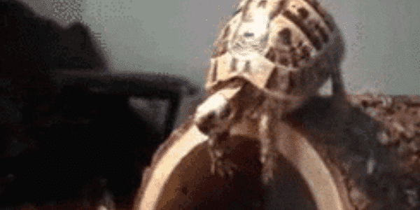 Quand j'exécute mon code pour la première fois