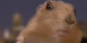 Quand je modifie une propriété CSS