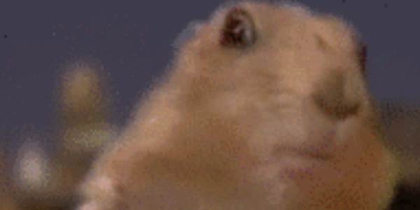 Quand je modifie une propriété CSS