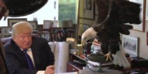 Quand le stagiaire veut toucher à mon code