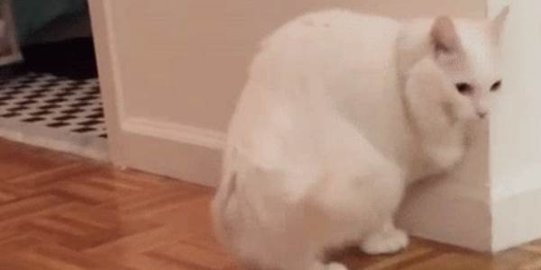 Quand je reviens de ma pause déjeuner