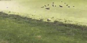 Quand le stagiaire me dit qu'il peut s'en sortir tout seul