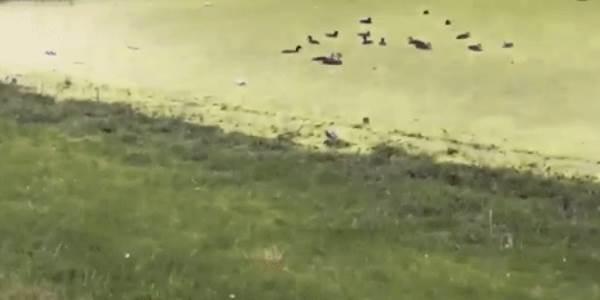 Quand le stagiaire me dit qu'il peut s'en sortir tout seul