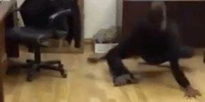 Quand le client me demande une compatibilité IE