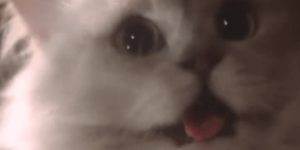 Quand j'ai push sur la prod au lieu du test