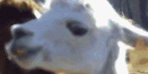 Quand je viens de finir de lire les specs que le commercial vient de me transmettre