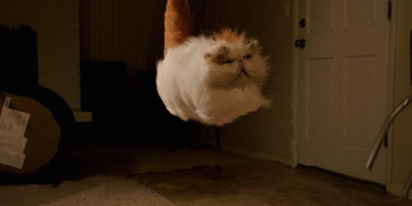 Quand le lead dev arrive pour débuguer