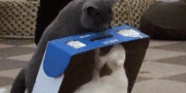 Quand un client nous inonde de tickets