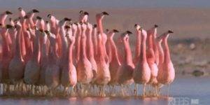 Quand des clients viennent visiter nos bureaux