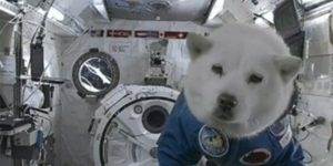 Quand je reprends mon projet après 2 semaines de vacances