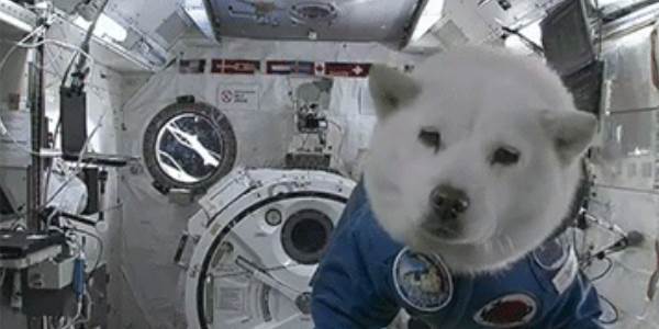 Quand je reprends mon projet après 2 semaines de vacances