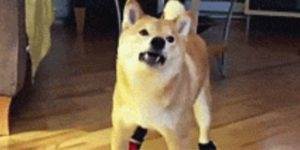 Quand on me demande ce que j'ai retenu de la réunion