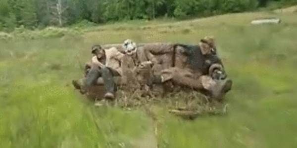 Quand la team a tout automatisé