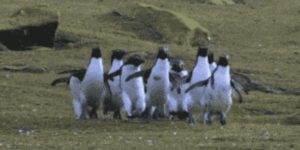 Quand on apprend que quelqu'un a amené des viennoiseries