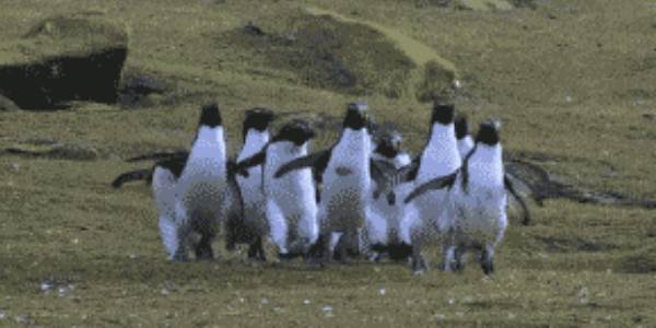 Quand on apprend que quelqu'un a amené des viennoiseries