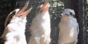 Quand le commercial ne comprend pas nos private jokes