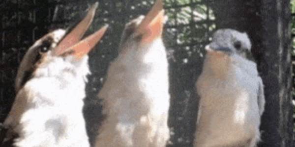 Quand le commercial ne comprend pas nos private jokes