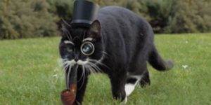 Quand le dev senior vient pour nous aider sur un bug