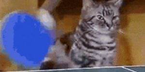 Quand on n'arrête pas de se renvoyer le même ticket entre différents services