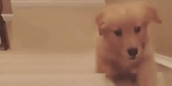 AccessDeniedException