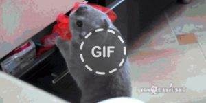 Quand on me surprend à corriger direct en prod