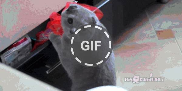 Quand on me surprend à corriger direct en prod